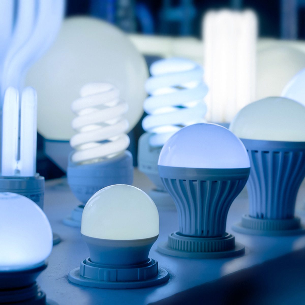 Various light bulbs, including LED and fluorescent types, shine softly in a display, showcasing their shapes and designs against a dim background.