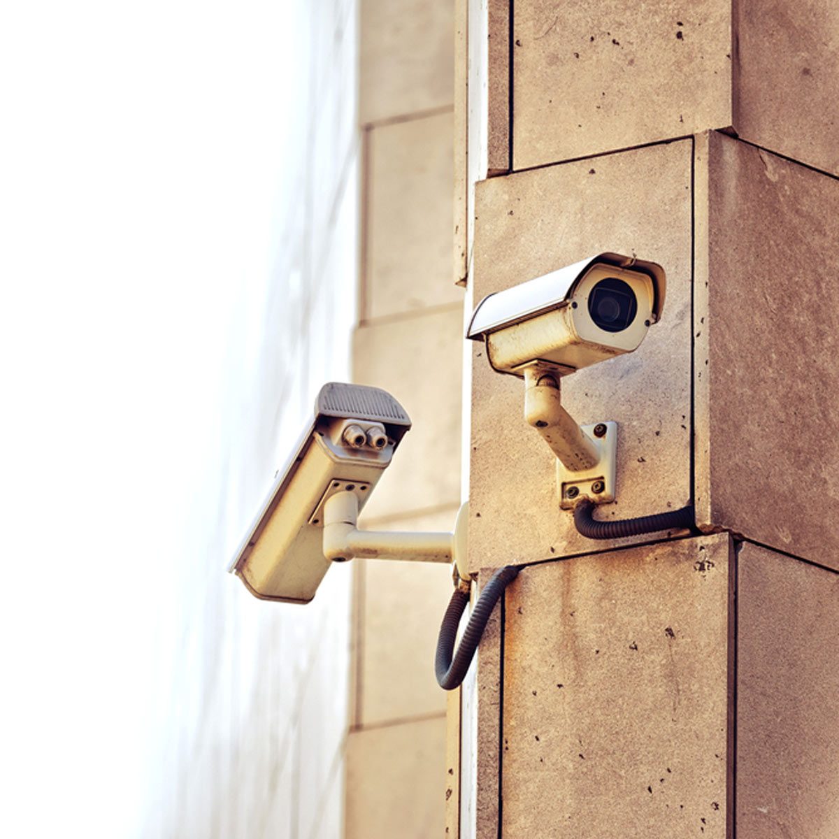 Two security cameras are mounted on a concrete wall, actively monitoring the surrounding area in a well-lit outdoor environment.