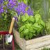 10 DIY Planters Made From Kitchen Castoffs