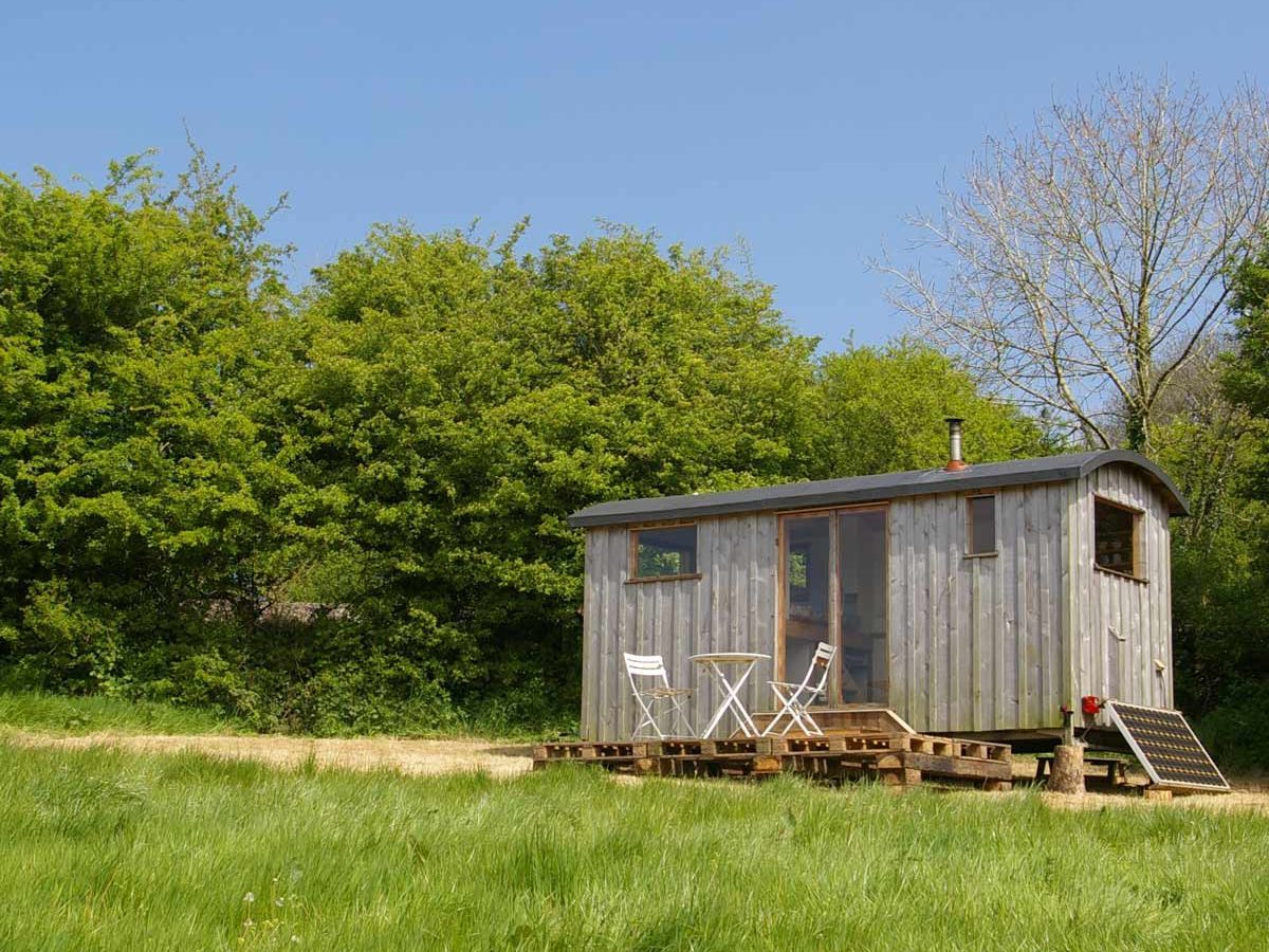 A wooden cabin sits on a grassy area, featuring a small deck with two white chairs, surrounded by lush green trees under a clear blue sky.