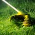 Hereâ€™s Why You Need to Leave Grass Clippings On The Lawn