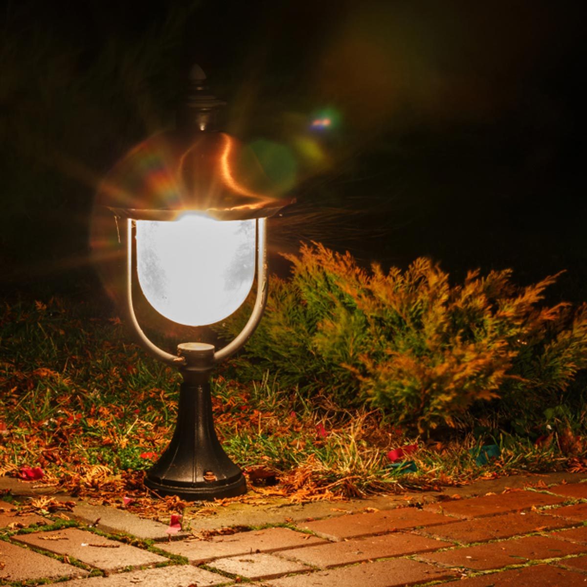 lantern