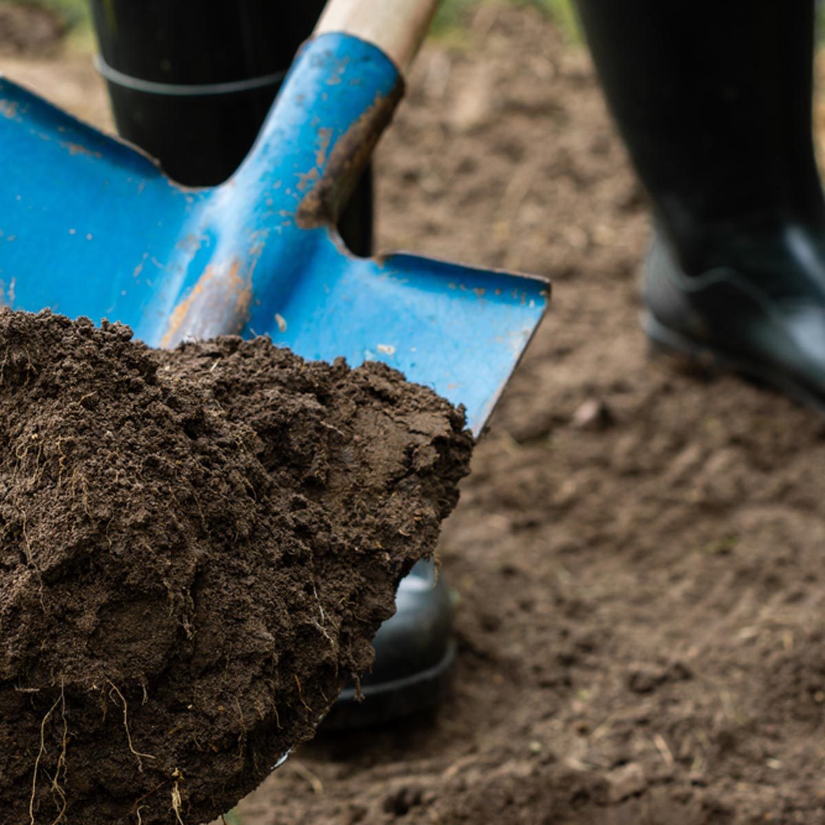 soil and shovel