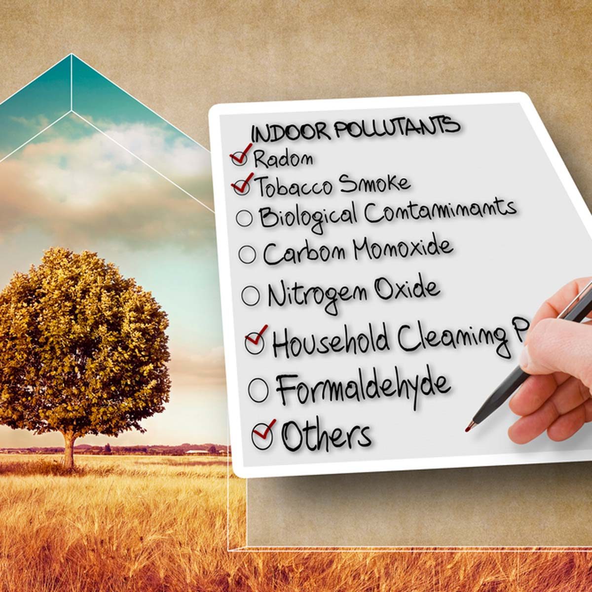 home air quality test