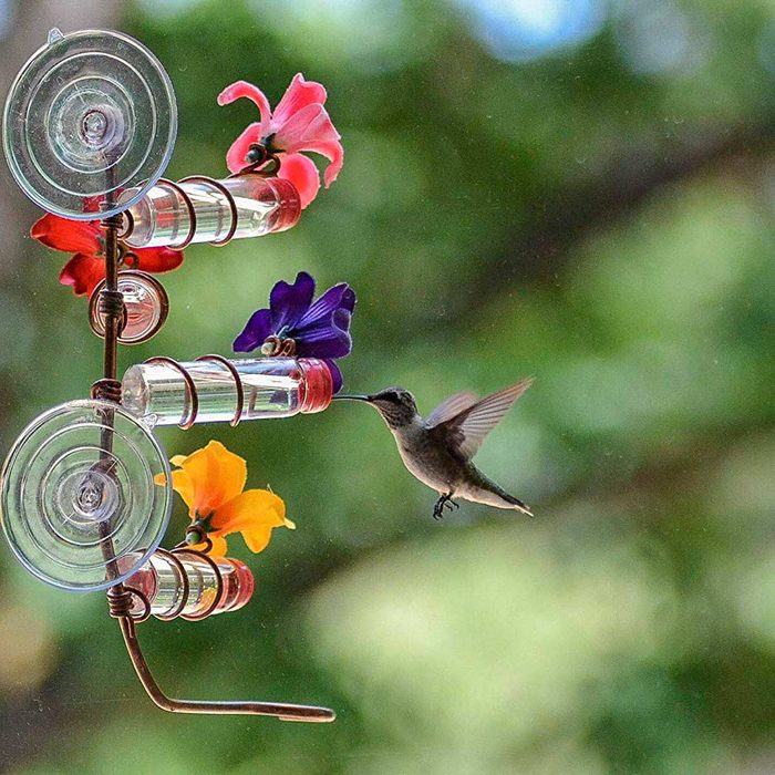 A hummingbird hovers near a flower feeder, extracting nectar from colorful blooms, surrounded by a blurred green background of foliage.