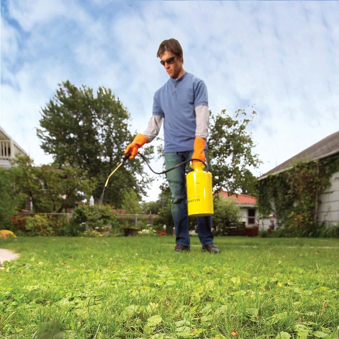 lawn problems