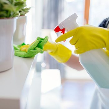A person wearing yellow gloves sprays cleaner while wiping a surface with a green cloth, surrounded by bright, sunlit indoor space with greenery.