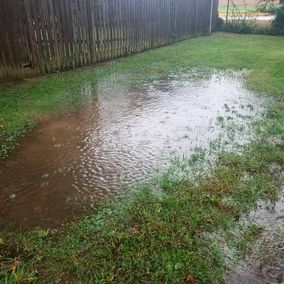 puddles