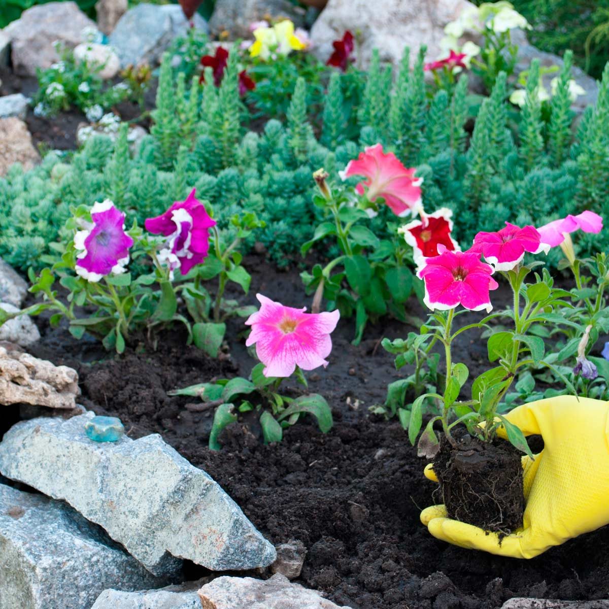 flower bed stones