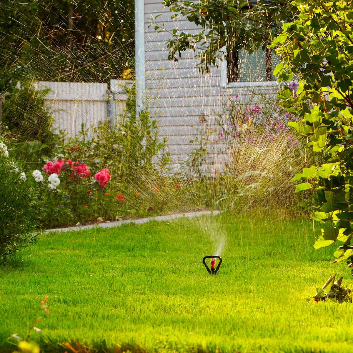 Water lawn