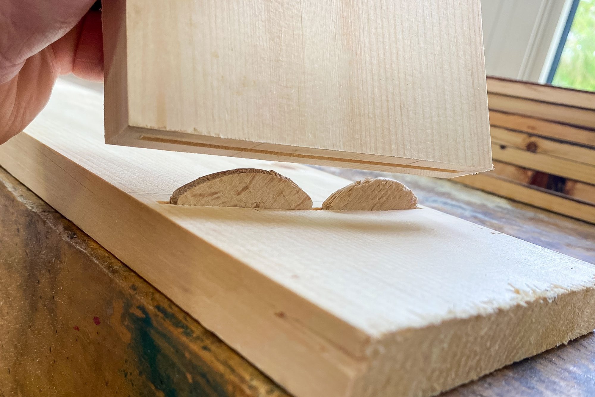 How to Make a Biscuit Joint