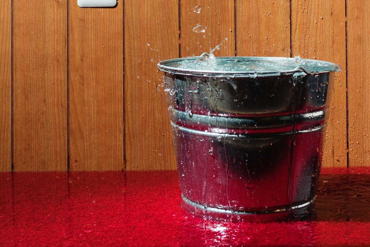 How To Dry Your Wet Carpet