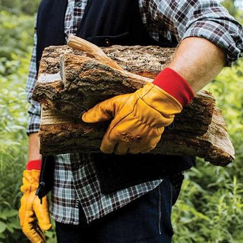 A person wearing yellow gloves carries several pieces of firewood, surrounded by lush greenery in a natural environment.