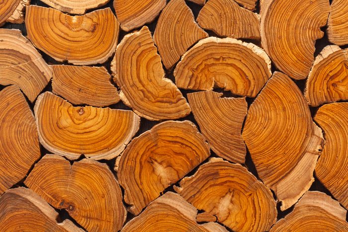Cross-section teak wood parts Were combined until there was a beautiful style Until it will be built into a table.