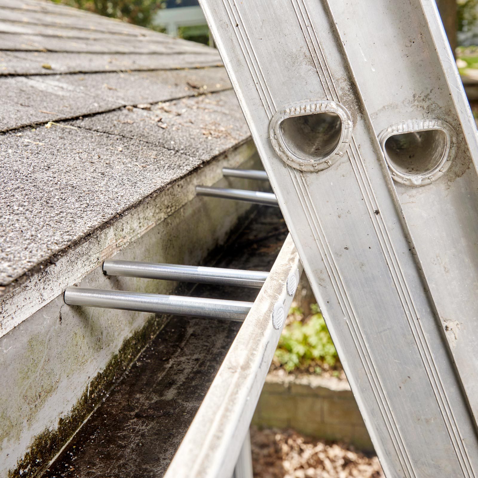 A metallic ladder rests against a sloped roof, its standoffs balancing on the edge while nearby, a gutter collects debris and dirty water.