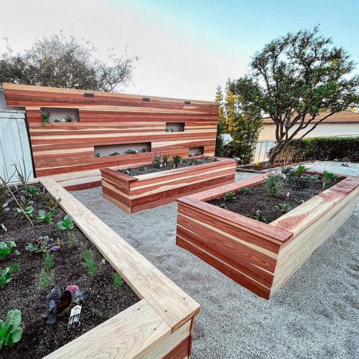 Redwood Vegetable Garden Courtesy @drabtofab Via Instagram