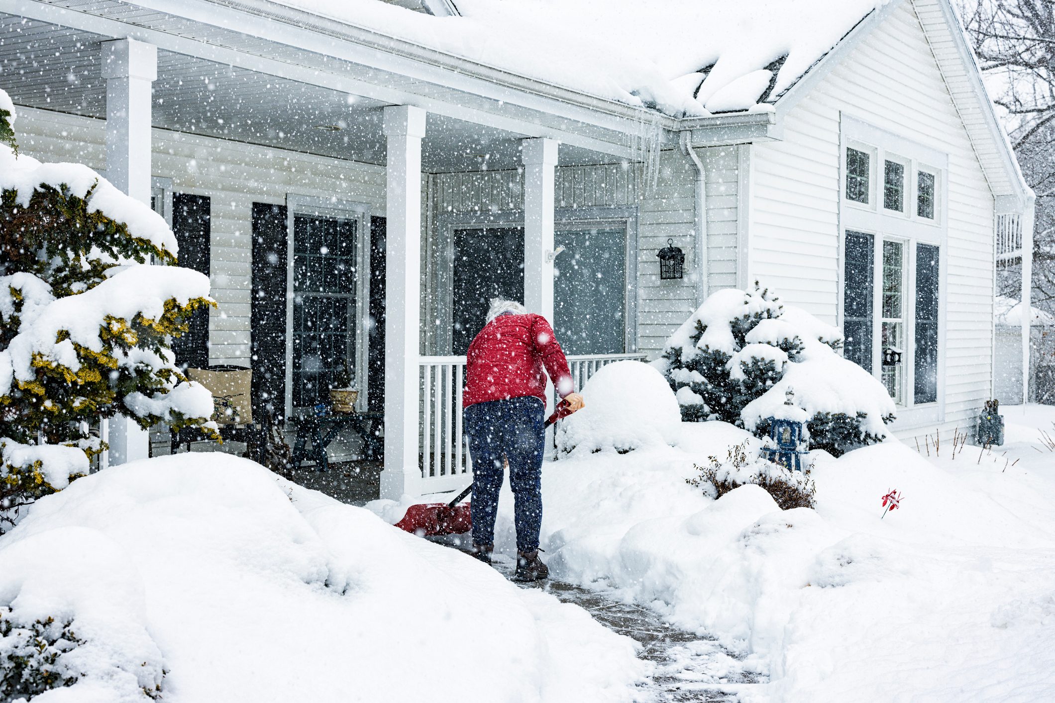 A person in a red jacket shovels snow from a pathway, surrounded by snow-covered bushes and a house, while heavy snow is falling.
