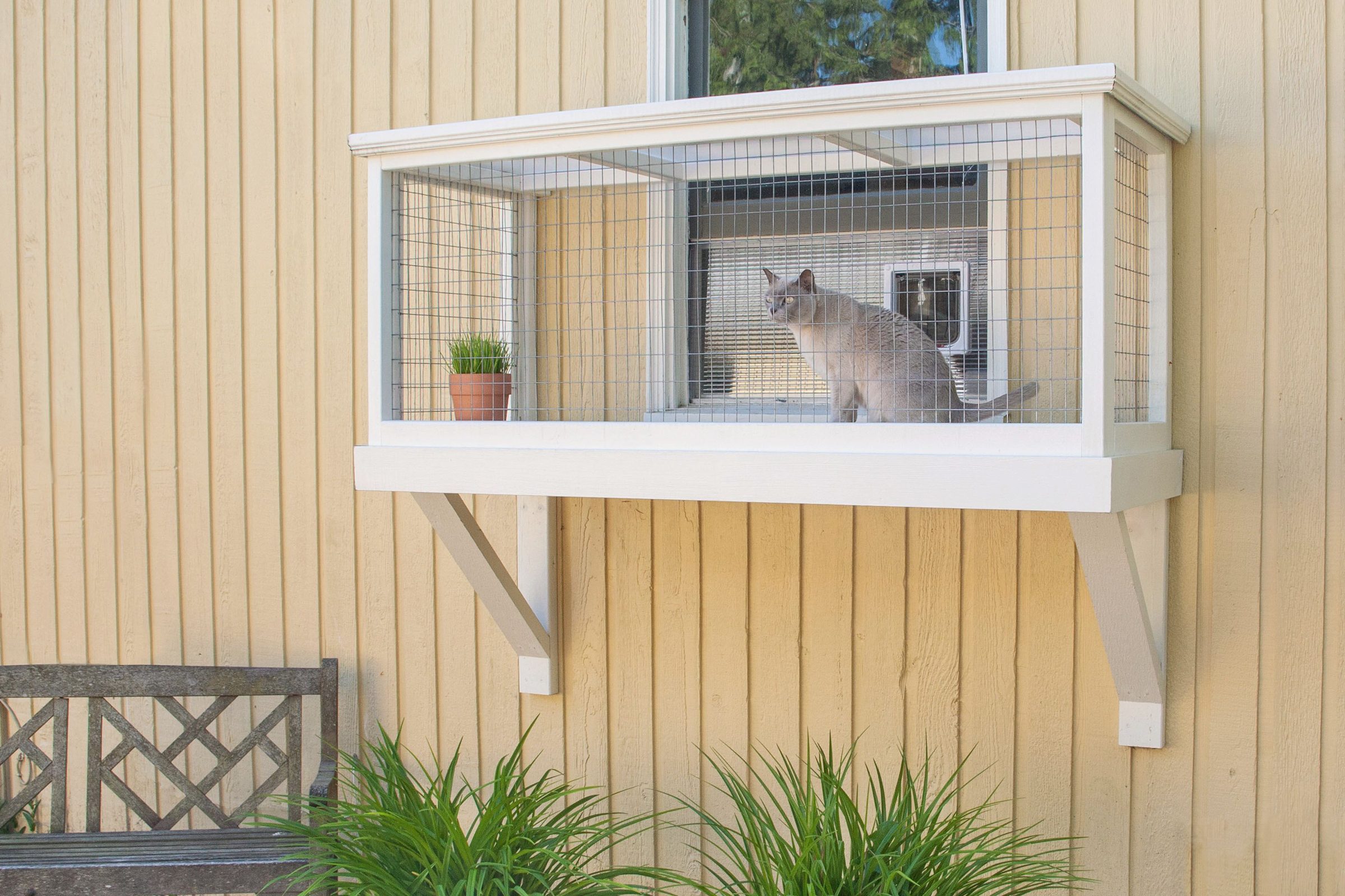 What’s a Catio and Why Would I Want One?