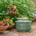 Honor Your Eco-Friendly Resolutions (and Your Wallet) with These Gardening Sales