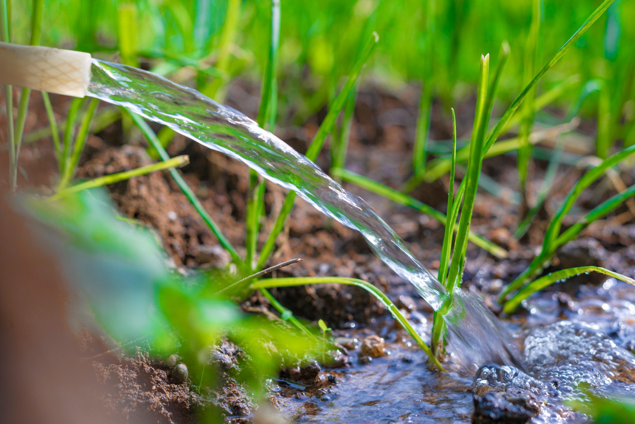 What To Know About Grey Water