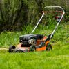 Lawn Care