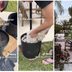 Illuminate Your Outdoor Space Easily With These DIY String Light Poles