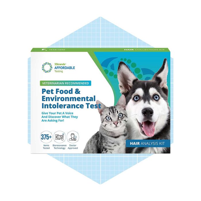A pet food intolerance test kit displays a cat and dog on the packaging, promoting analysis of dietary needs in a light blue environment.