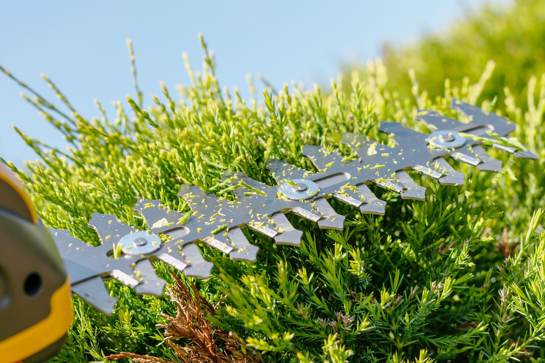 Chervon Just Recalled Thousands of Ego Cordless Hedge Trimmers—Here’s What You Need to Know