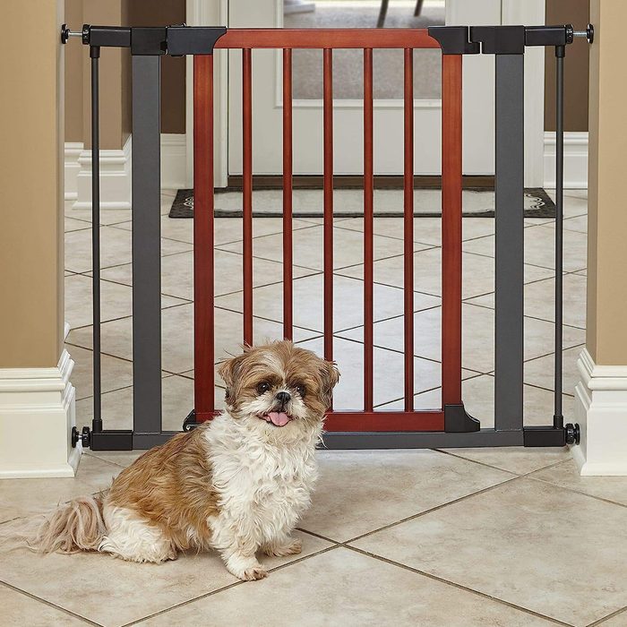 A small, fluffy dog sits in front of a wooden pet gate, which separates it from an open doorway in a tiled hallway of a home.