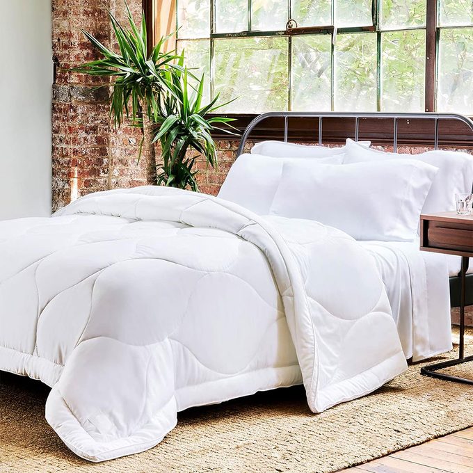 A neatly made bed with a white comforter is positioned beside a nightstand. Sunlight filters through large windows, highlighting a potted plant nearby.