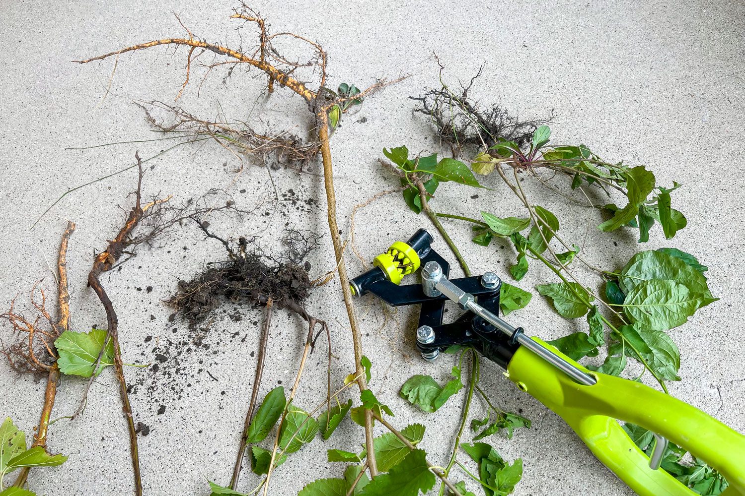 Handy Brush Grubber