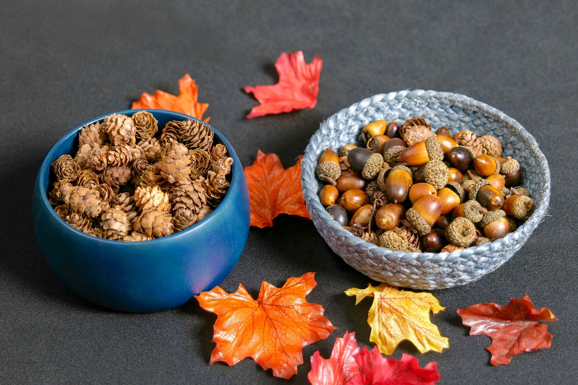 Two bowls contain pinecones and acorns, surrounded by colorful autumn leaves on a dark table, creating an earthy, seasonal display.