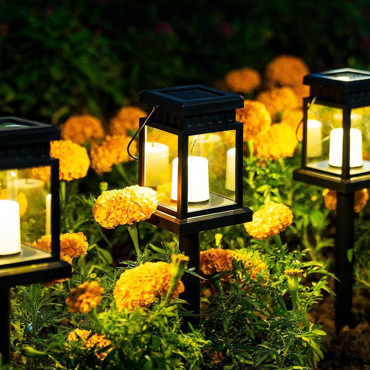 Solpex Solar Pathway Lights 8 Pack