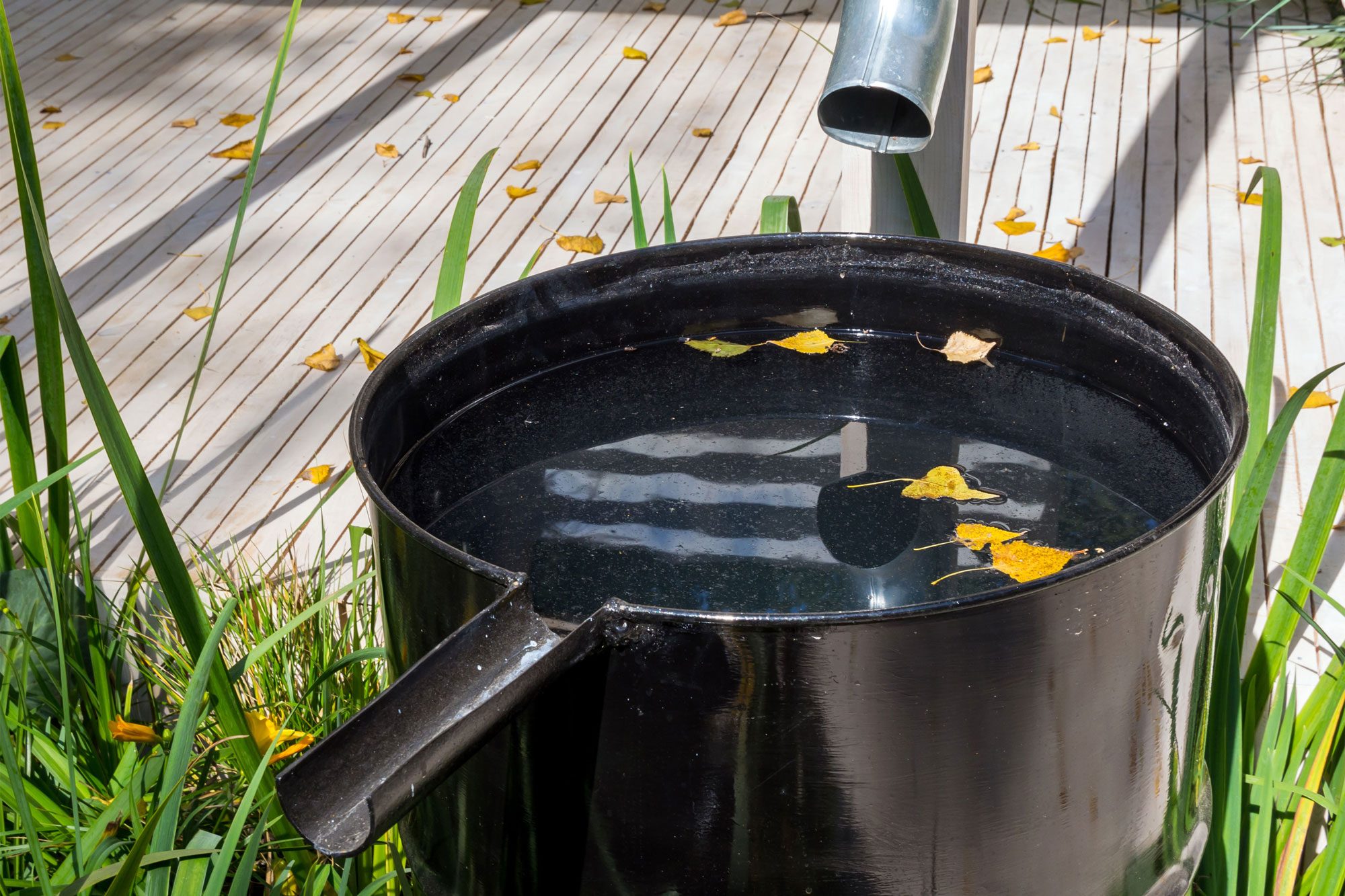 Beginner’s Guide to Rainwater Collection (With Top 7 Benefits)