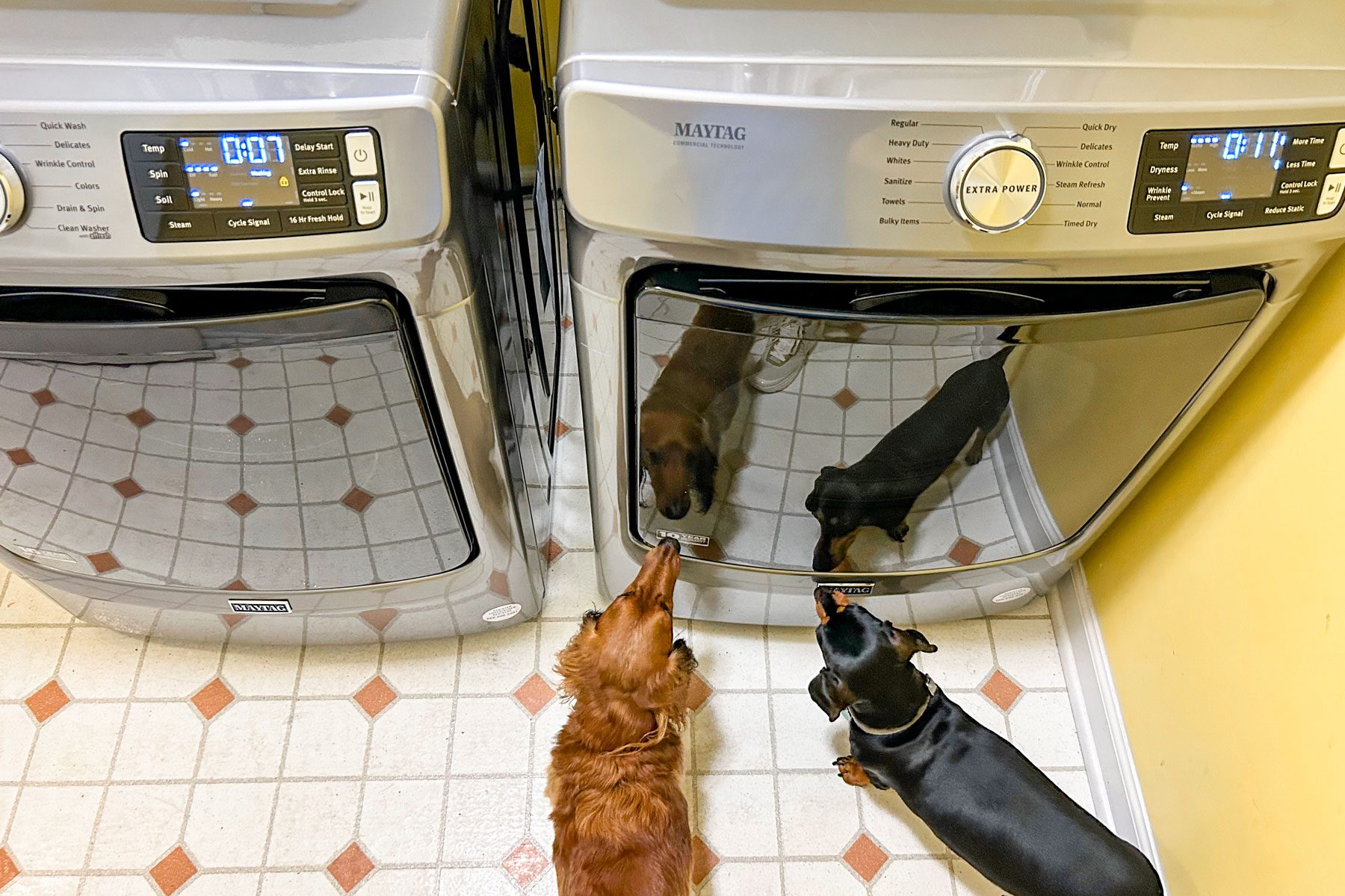 Maytag Washer And Dryer