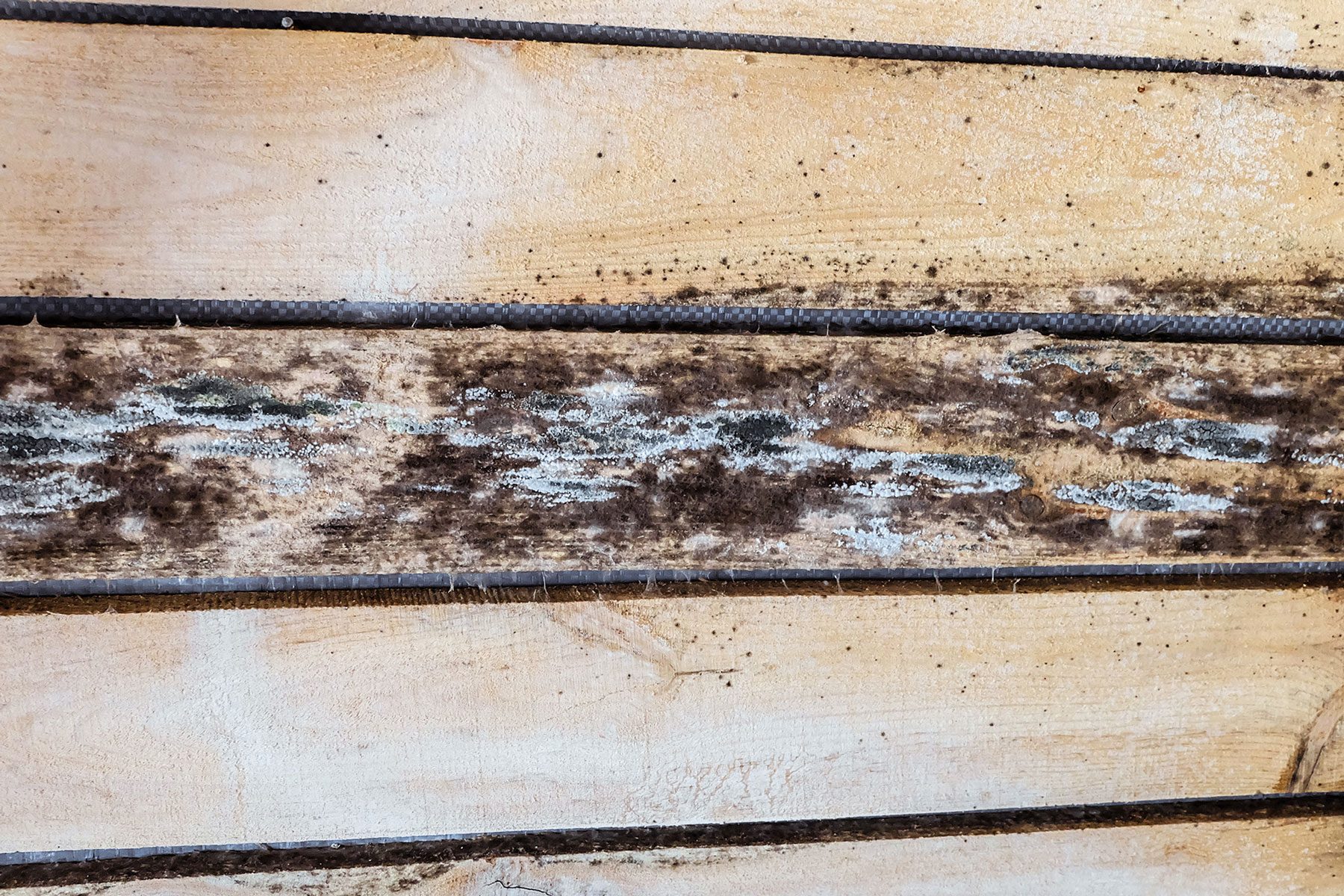 How To Get Rid of Mold on Unfinished Wood/megha