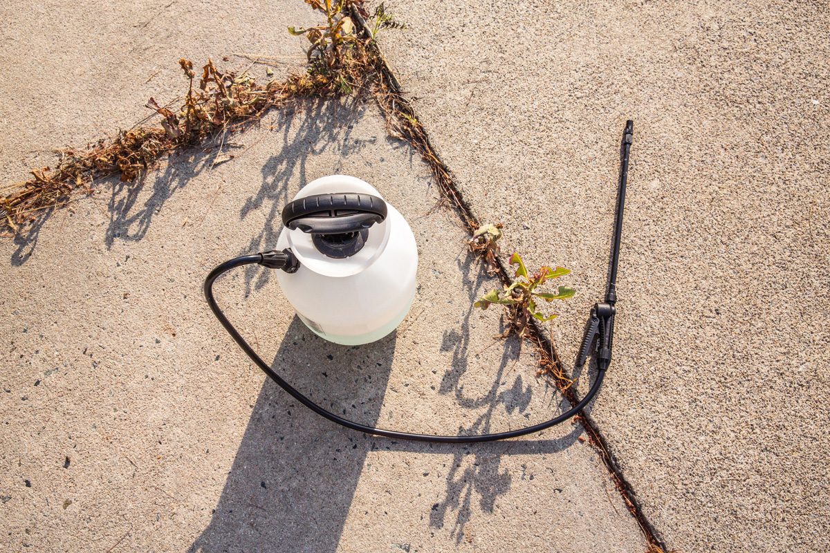 pesticide container