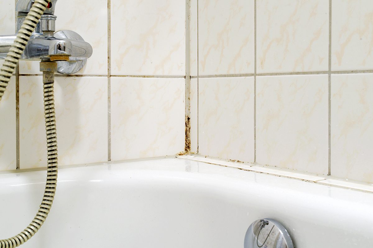 Removing Mold From Shower Caulking, Step by Step