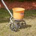 The Best Way to Plant Grass Seed for a Lush Lawn